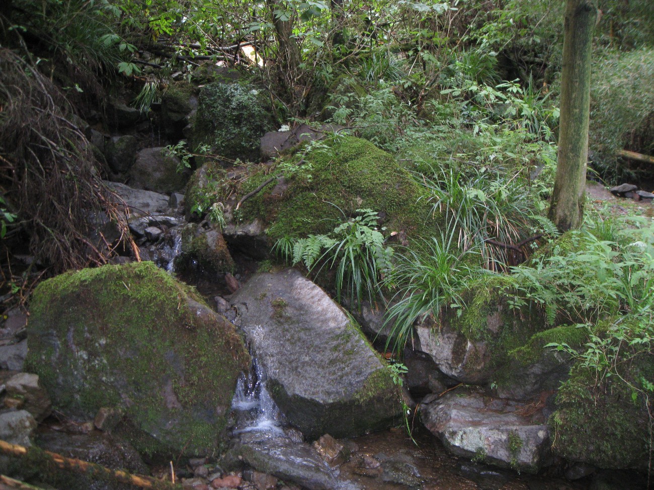 20070909avrc 102.jpg